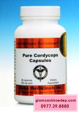 Pure Cordyceps Capsules Đông Trùng Hạ Thảo Tinh Khiết Cao Cấp