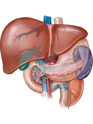 Công dụng của sản phẩm Liver Cleanse