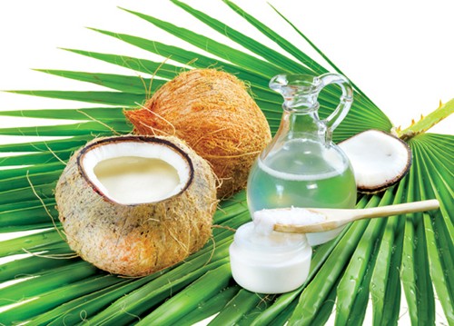 Ngoài tác dụng dưỡng ẩm cho da dầu dừa còn giúp trị mụn rất hiệu quả.